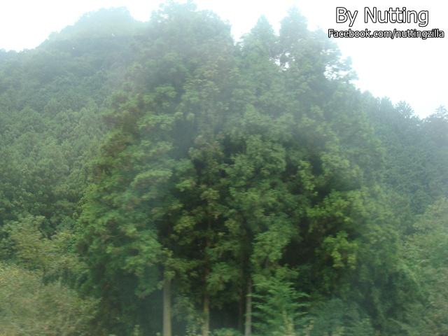 DSC03799.JPG